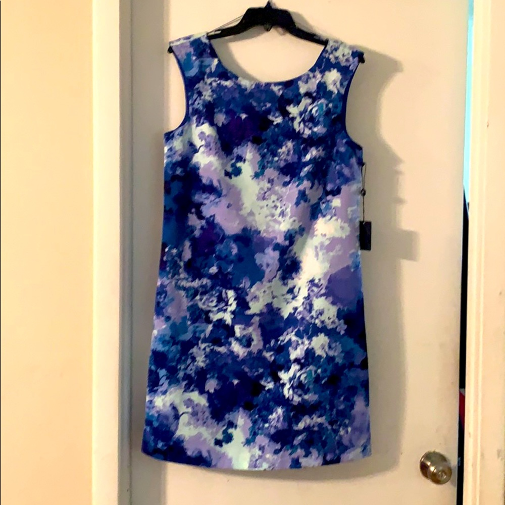 Blue Adrianna appellate dress